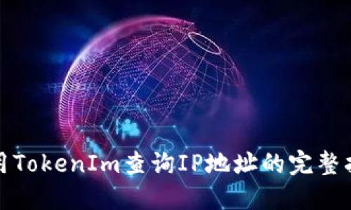 使用TokenIm查询IP地址的完整指南