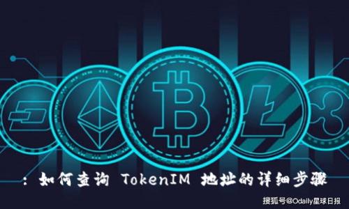 : 如何查询 TokenIM 地址的详细步骤