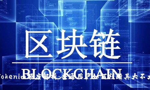 Tokenim额度解析：普通用户如何判断其大不大
