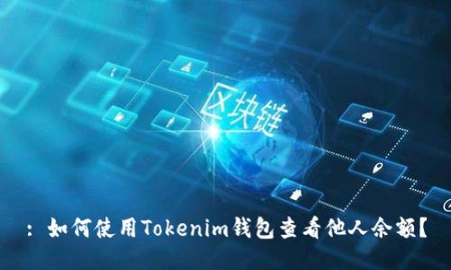 : 如何使用Tokenim钱包查看他人余额？