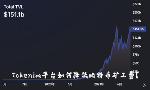 Tokenim平台如何降低比特币矿工费？
