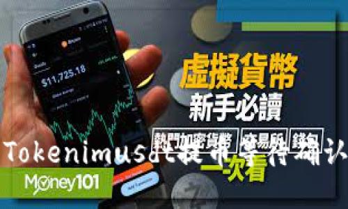如何解决Tokenimusdt提币等待确认中的问题