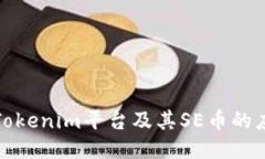 深入探讨Tokenim平台及其SE币的应用与优势