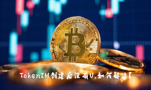 TokenIM创建后没有U，如何解决？