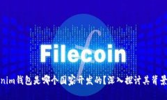 : Tokenim钱包是哪个国家开发的？深入探讨其背景