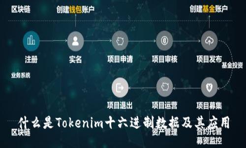 什么是Tokenim十六进制数据及其应用