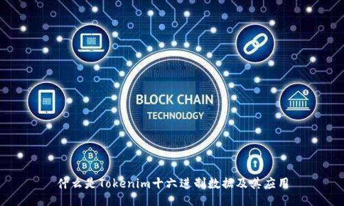 什么是Tokenim十六进制数据及其应用