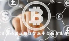 : 探索度小满区块链金融平台的未来与机遇