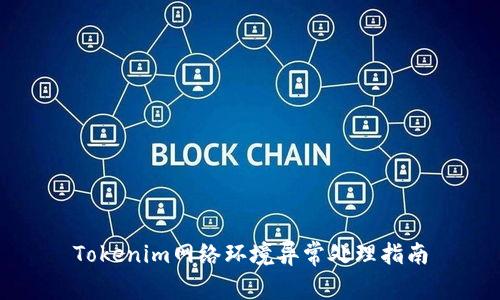 Tokenim网络环境异常处理指南