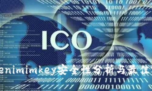 Tokenimimkey安全性分析与最佳实践
