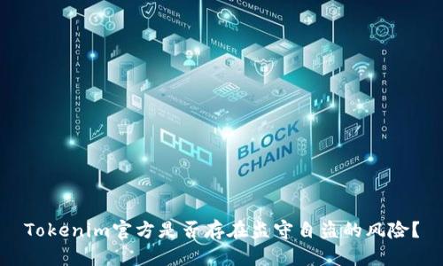 Tokenim官方是否存在监守自盗的风险？