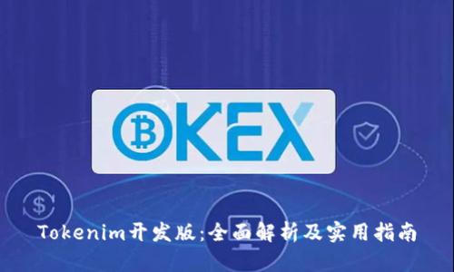 Tokenim开发版：全面解析及实用指南