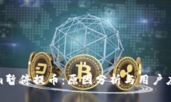 Tokenim暂停提币：原因分析与用户应对策略