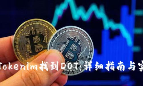 怎么从Tokenim找到DOT：详细指南与实用技巧