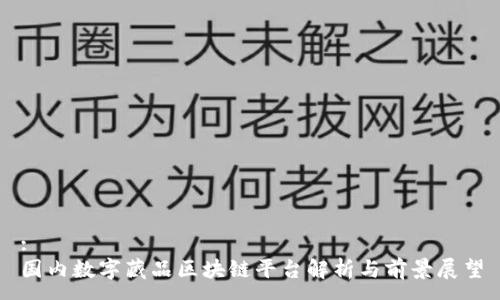 :
国内数字藏品区块链平台解析与前景展望