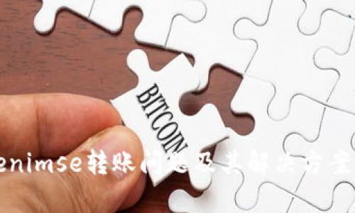 Tokenimse转账问题及其解决方案解析