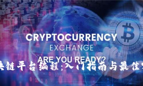 区块链平台编程：入门指南与最佳实践