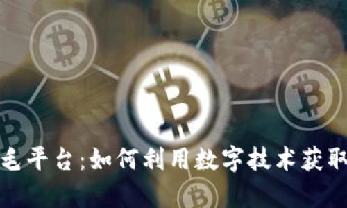 和关键词

区块链羊毛平台：如何利用数字技术获取额外收益