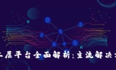 : 区块链二层平台全面解析：主流解决方案与应用