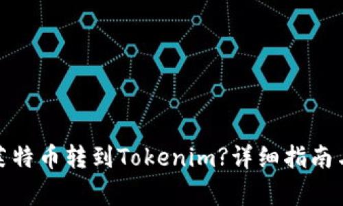 : 如何将莱特币转到Tokenim?详细指南与注意事项