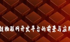 区块链物联网开发平台的前景与应用解析