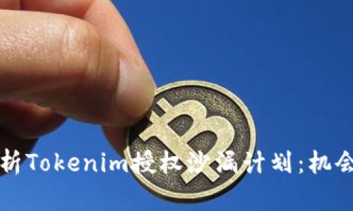 深入解析Tokenim授权沙漏计划：机会与挑战