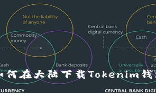 如何在大陆下载Tokenim钱包