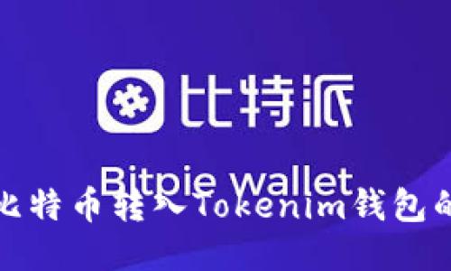 : 如何将比特币转入Tokenim钱包的详细指南