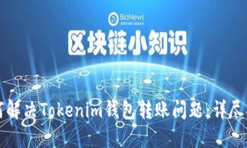 如何解决Tokenim钱包转账问题：详尽指导