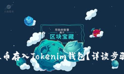 : 如何将SOL币存入Tokenim钱包？详谈步骤与注意事项
